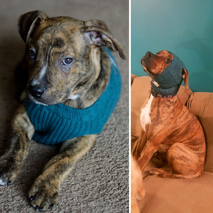 Still Looks Handsome In His Sweater 3 Years Later!