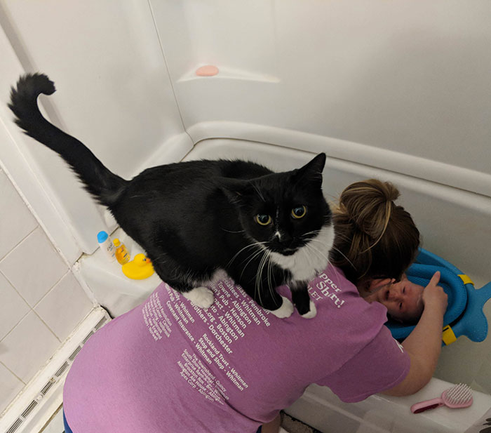 Our Cat Is Very Protective Of Our Newborn. She Does Not Approve Of Her Getting A Bath