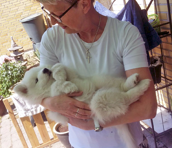 Mom Texted Me, Said She Was Going To Be A Mother Again, A Minute Later I Get This Picture