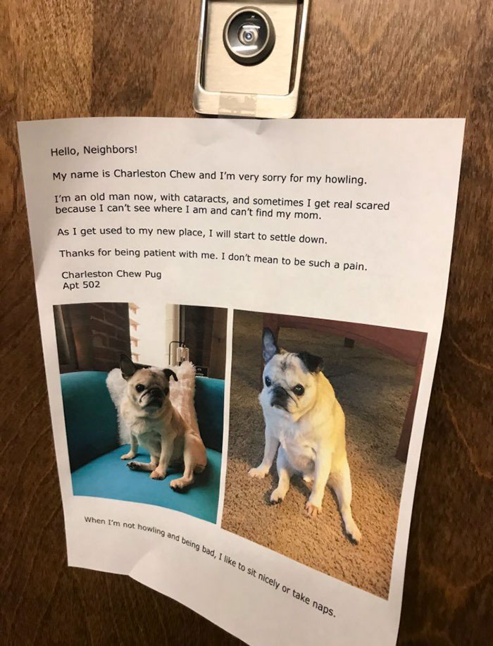 Charleston, Honey, You Howl All You Want