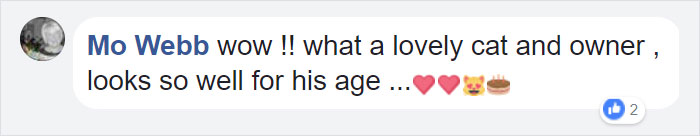 Facebook comment praising a cat and owner, mentioning the cat looks well for his age with heart and cake emojis. Facebook comment praising a cat and owner, mentioning the cat looks well for his age with heart and cake emojis.