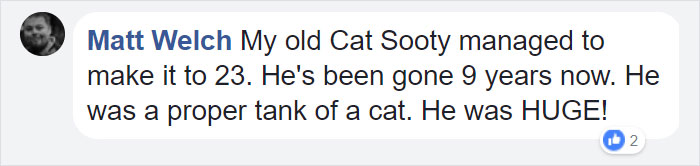 Comment about an old cat named Sooty who lived to 23, highlighting the owner's long-term bond with their pet cat. Comment about an old cat named Sooty who lived to 23, highlighting the owner's long-term bond with their pet cat.