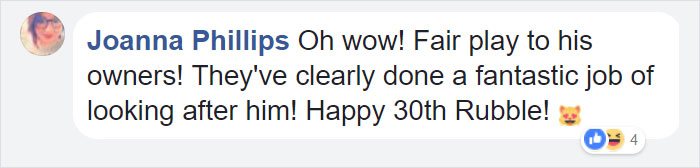 Comment praising owners for celebrating a cat's 30th birthday and caring for him lovingly over the years. Comment praising owners for celebrating a cat's 30th birthday and caring for him lovingly over the years.