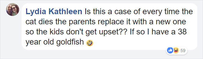 Comment about cat owner unexpectedly celebrating a cat's 30th birthday, reflecting on long pet companionship. Comment about cat owner unexpectedly celebrating a cat's 30th birthday, reflecting on long pet companionship.