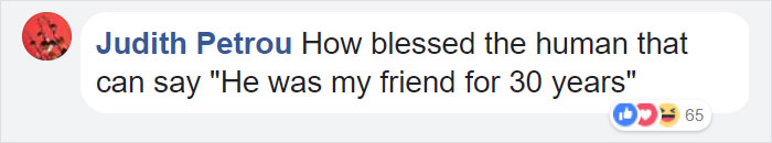 Comment saying how blessed the human is to have had a cat as a friend for 30 years, showing reactions.