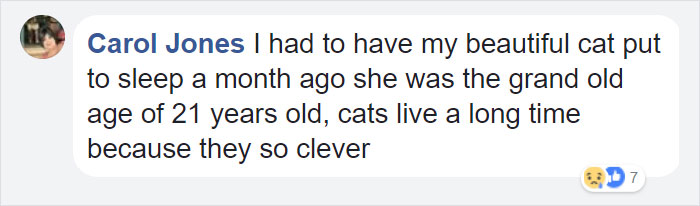 Facebook comment by Carol Jones sharing about putting her beautiful cat to sleep at age 21, reflecting on cats’ long lifespan.