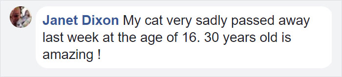 Facebook comment by Janet Dixon sharing her cat lived to 16 years, reflecting on 30 years with the cat and birthday celebration plans.