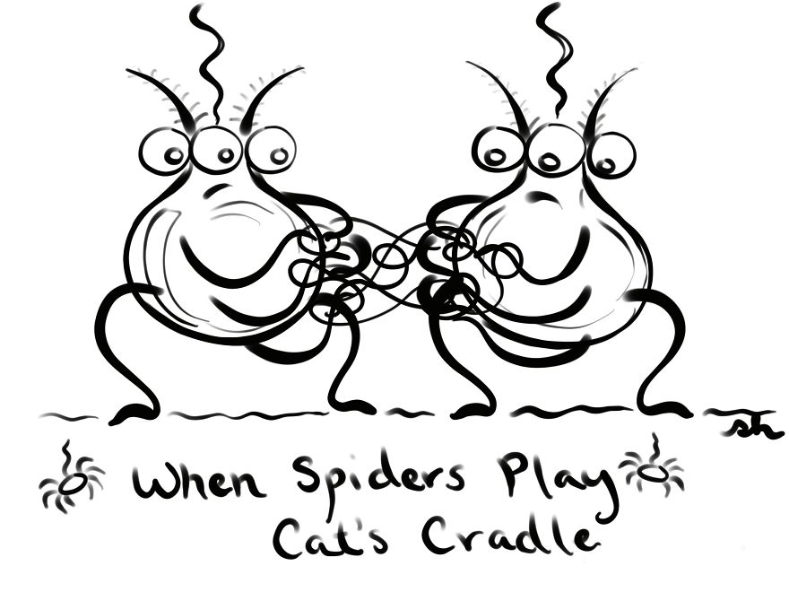 Silly Spiders Trying To Skate On Glass Silly Spiders Trying To Skate On Glass