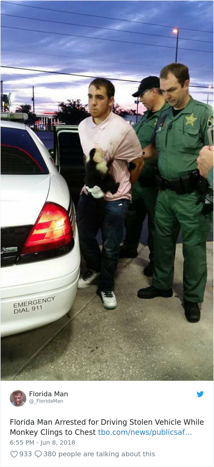 Florida man arrested with monkey clinging to chest, standing by police car while handcuffed.