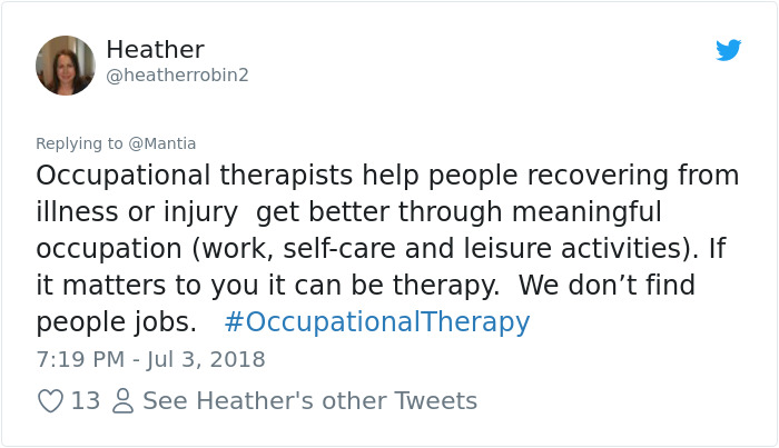 Occupational Therapist