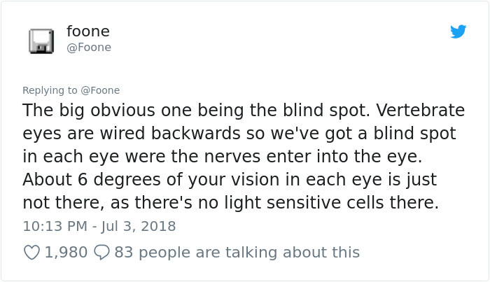 The Craziest Things Our Brains Do Without Us Knowing The Craziest Things Our Brains Do Without Us Knowing