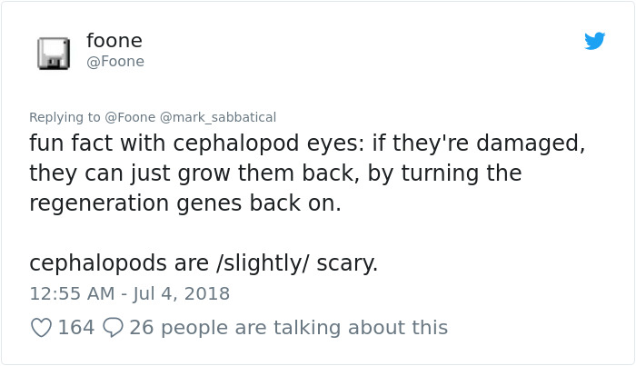 The Craziest Things Our Brains Do Without Us Knowing