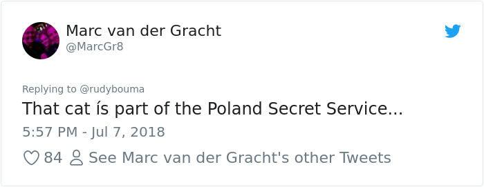 The Way This Polish Academic 'Reacts' When Cat Interrupts His Serious Interview Amuses The Internet The Way This Polish Academic 'Reacts' When Cat Interrupts His Serious Interview Amuses The Internet