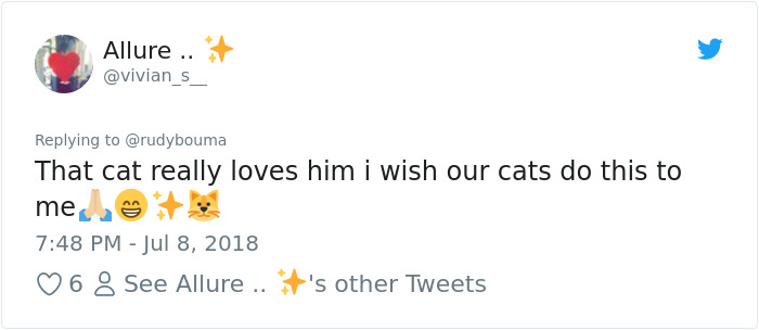 The Way This Polish Academic 'Reacts' When Cat Interrupts His Serious Interview Amuses The Internet The Way This Polish Academic 'Reacts' When Cat Interrupts His Serious Interview Amuses The Internet