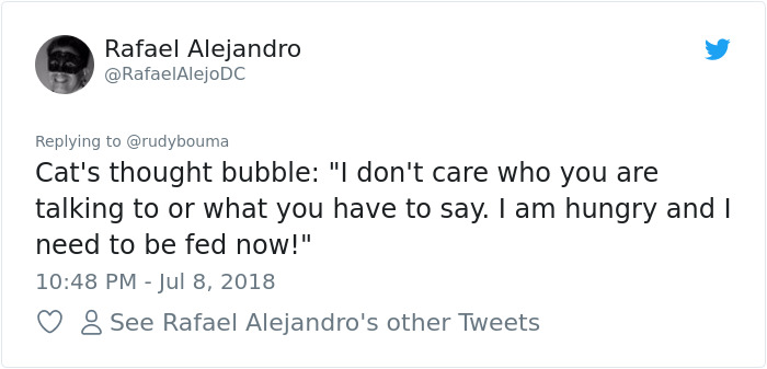 The Way This Polish Academic 'Reacts' When Cat Interrupts His Serious Interview Amuses The Internet