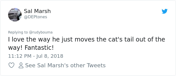 The Way This Polish Academic 'Reacts' When Cat Interrupts His Serious Interview Amuses The Internet The Way This Polish Academic 'Reacts' When Cat Interrupts His Serious Interview Amuses The Internet