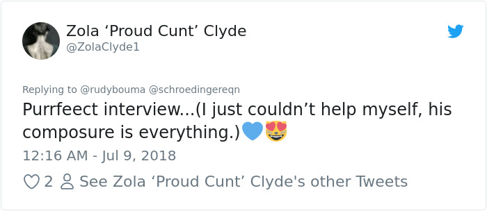 The Way This Polish Academic 'Reacts' When Cat Interrupts His Serious Interview Amuses The Internet