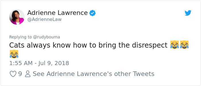 The Way This Polish Academic 'Reacts' When Cat Interrupts His Serious Interview Amuses The Internet The Way This Polish Academic 'Reacts' When Cat Interrupts His Serious Interview Amuses The Internet