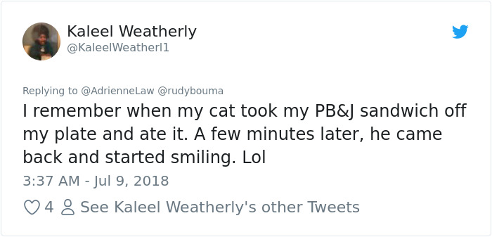 The Way This Polish Academic 'Reacts' When Cat Interrupts His Serious Interview Amuses The Internet