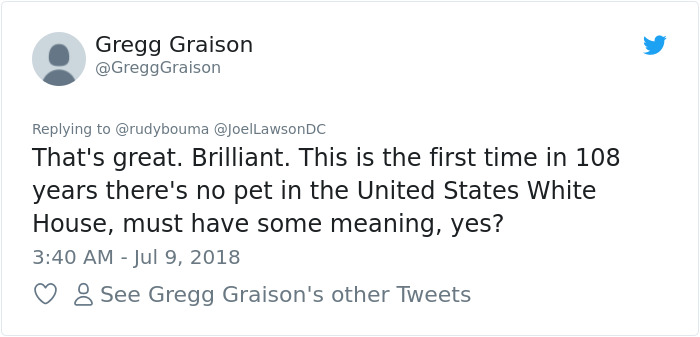 The Way This Polish Academic 'Reacts' When Cat Interrupts His Serious Interview Amuses The Internet The Way This Polish Academic 'Reacts' When Cat Interrupts His Serious Interview Amuses The Internet