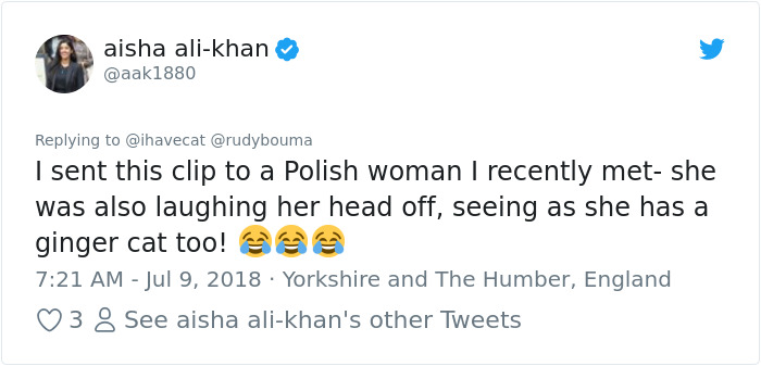 The Way This Polish Academic 'Reacts' When Cat Interrupts His Serious Interview Amuses The Internet The Way This Polish Academic 'Reacts' When Cat Interrupts His Serious Interview Amuses The Internet