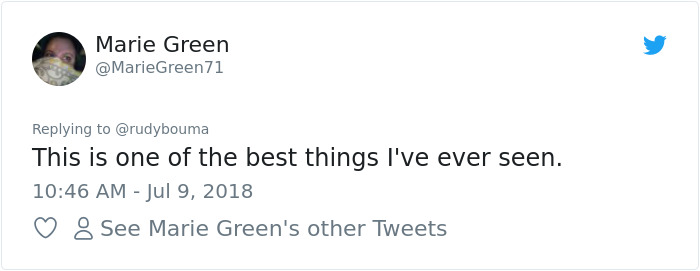 The Way This Polish Academic 'Reacts' When Cat Interrupts His Serious Interview Amuses The Internet