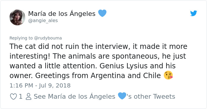 The Way This Polish Academic 'Reacts' When Cat Interrupts His Serious Interview Amuses The Internet The Way This Polish Academic 'Reacts' When Cat Interrupts His Serious Interview Amuses The Internet