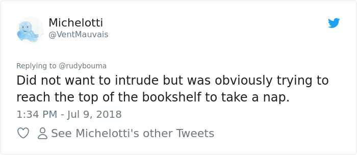 The Way This Polish Academic 'Reacts' When Cat Interrupts His Serious Interview Amuses The Internet The Way This Polish Academic 'Reacts' When Cat Interrupts His Serious Interview Amuses The Internet