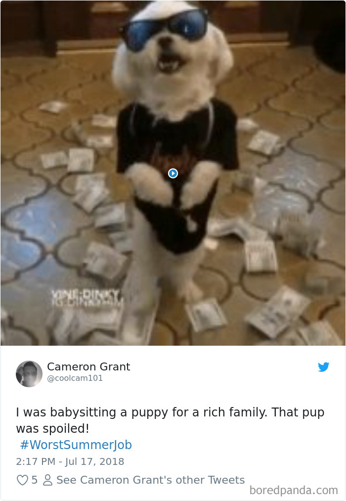 Worst-Summer-Job-Jimmy-Fallon-Tweets