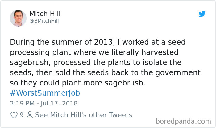 Worst-Summer-Job-Jimmy-Fallon-Tweets