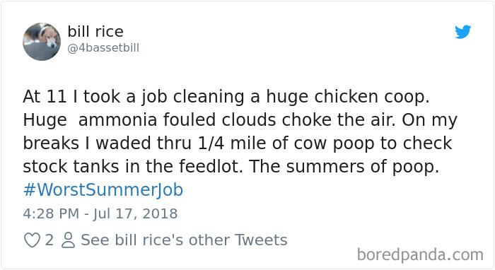 Worst-Summer-Job-Jimmy-Fallon-Tweets