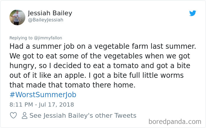 Worst-Summer-Job-Jimmy-Fallon-Tweets