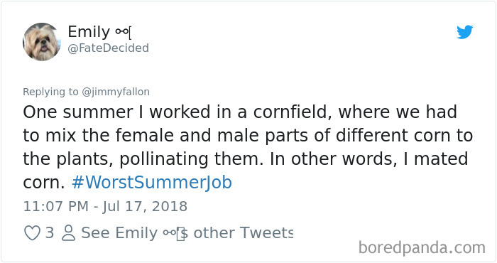 Worst-Summer-Job-Jimmy-Fallon-Tweets