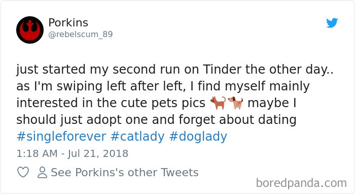 Hilarious-Dog-Tweets