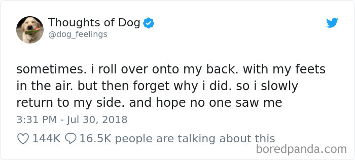 Hilarious-Dog-Tweets