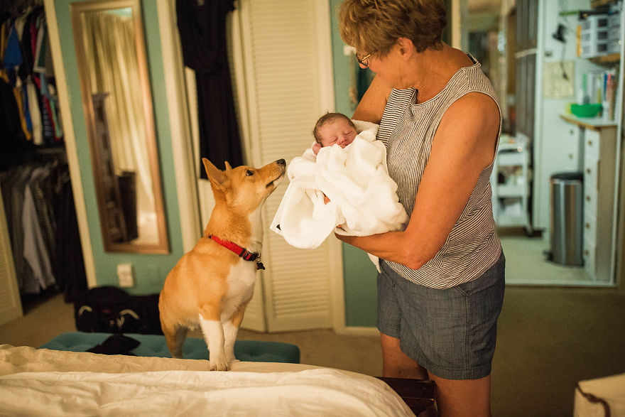 Mom Giving Birth Doesn’t Realize Her Corgi Never Leaves Her Side, Then Photographer Shows Her These Pics Mom Giving Birth Doesn’t Realize Her Corgi Never Leaves Her Side, Then Photographer Shows Her These Pics