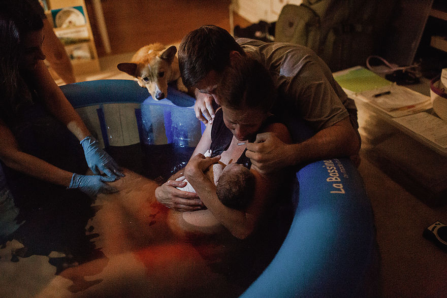 Mom Giving Birth Doesn’t Realize Her Corgi Never Leaves Her Side, Then Photographer Shows Her These Pics Mom Giving Birth Doesn’t Realize Her Corgi Never Leaves Her Side, Then Photographer Shows Her These Pics