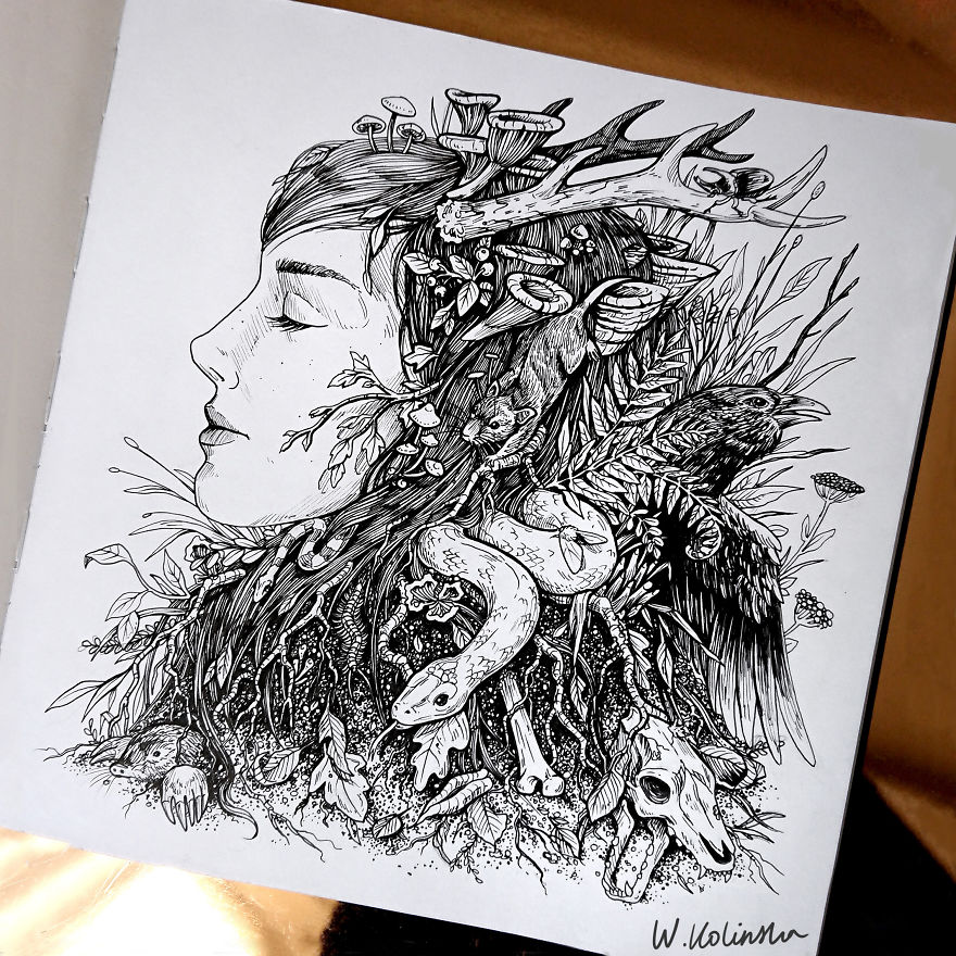 I Create Intricate And Detailed Drawings Of Animals Embedded With Their Natural Habitats