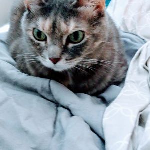 estherkashnow avatar