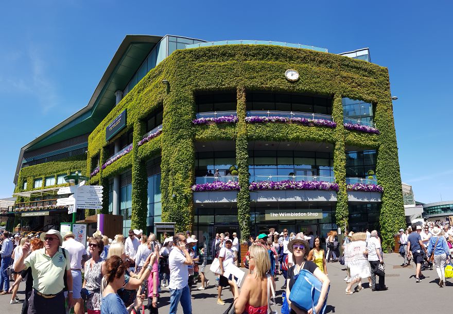 Dreams Do Come True! I Went To Wimbledon 2018 And It Totally Blew My Mind Dreams Do Come True! I Went To Wimbledon 2018 And It Totally Blew My Mind