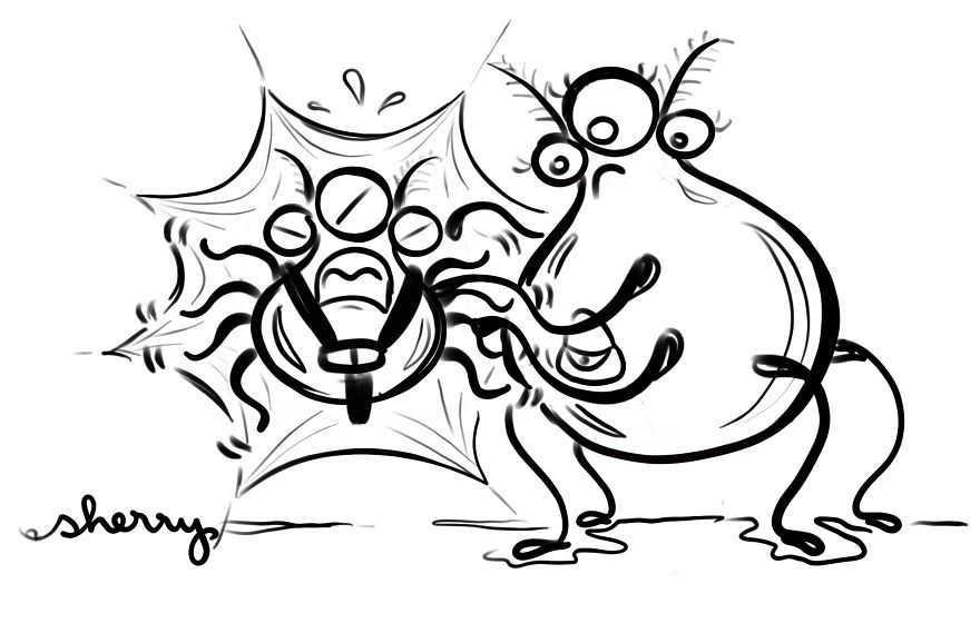 Silly Spiders Trying To Skate On Glass