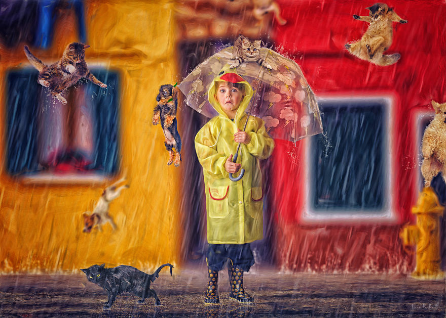 Raining Cats And Dogs