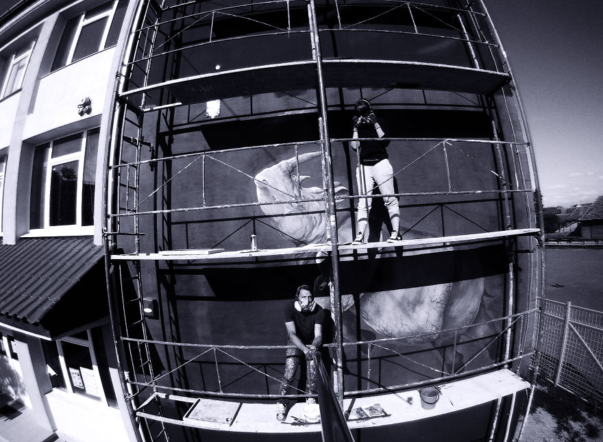 Tribute Mural For Sudan- The Last Male Northern White Rhino By Paula Duță & The Orion At Sisaf 2018 Tribute Mural For Sudan- The Last Male Northern White Rhino By Paula Duță & The Orion At Sisaf 2018