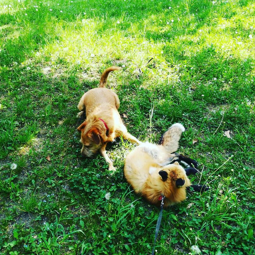 How Jay & Sajmon Are Leaving After 2 Years How Jay & Sajmon Are Leaving After 2 Years