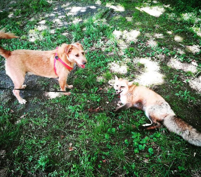 How Jay & Sajmon Are Leaving After 2 Years