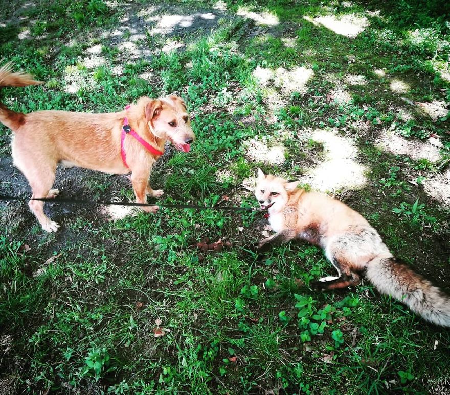 How Jay & Sajmon Are Leaving After 2 Years How Jay & Sajmon Are Leaving After 2 Years