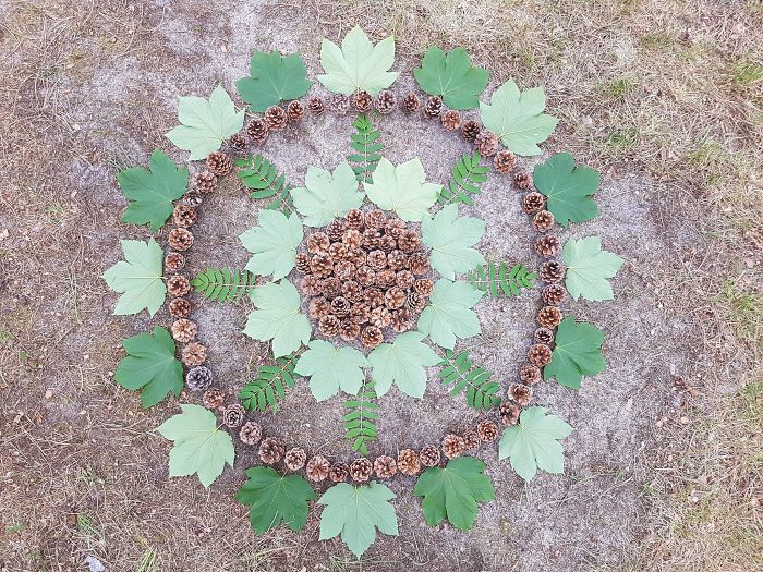 I Create Mandalas Out Of Nature Materials As A Way Of Meditation