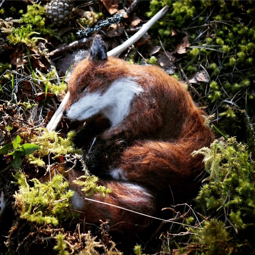 My Shed Life As An Artist