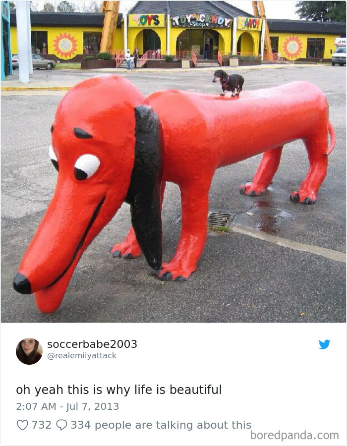 Hilarious-Dog-Tweets