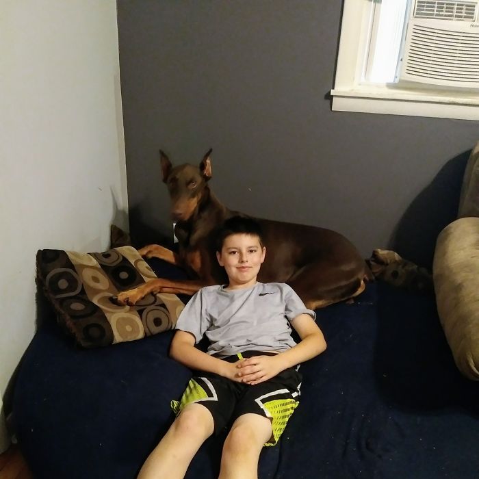 Boy Sells His Toys To Pay For His Service Dog's Treatment Boy Sells His Toys To Pay For His Service Dog's Treatment